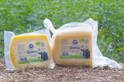 Formatge Gouda Quesu (250gr)