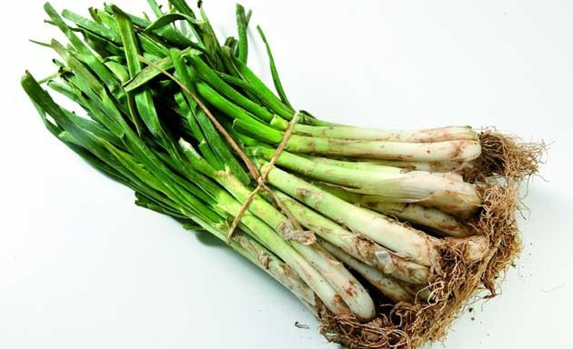 Calçots (25 unitats)