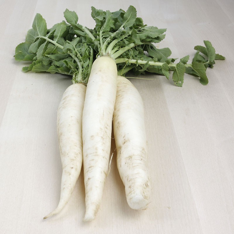 Nap daikon manat