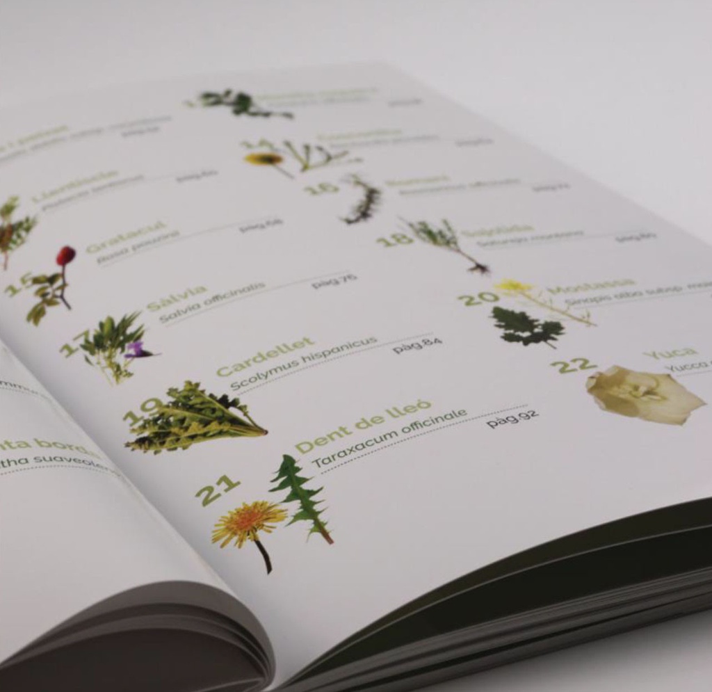 Llibre de les plantes silvestres comestibles 03