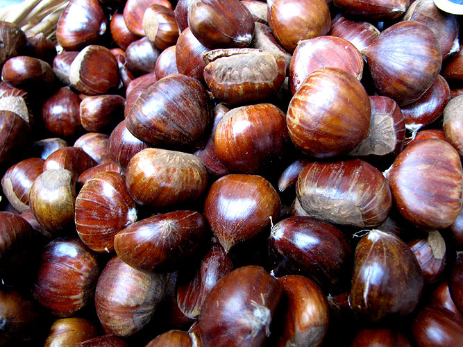 Castanyes de Galicia (1kg)