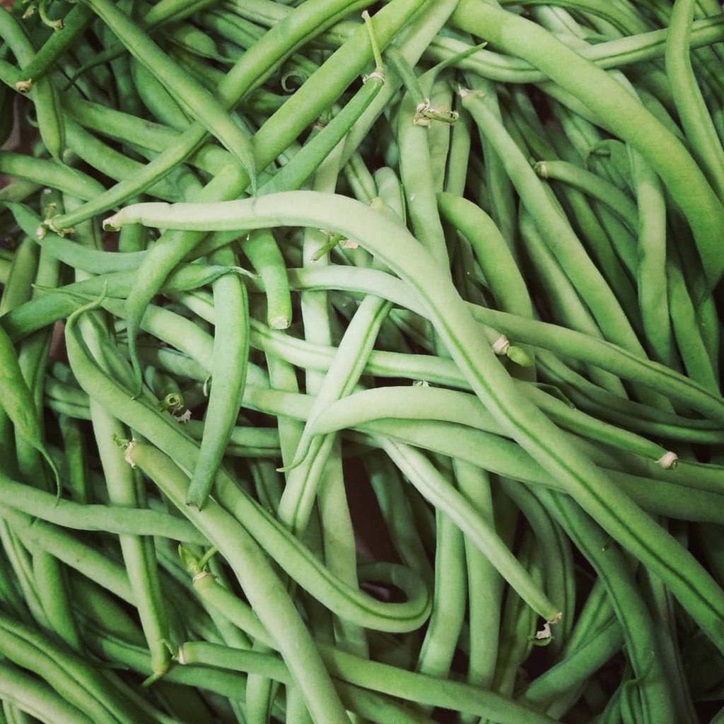 Bajoca rodona (500gr)