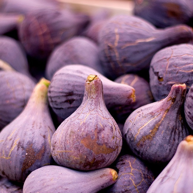 Figaflor (breva) kg