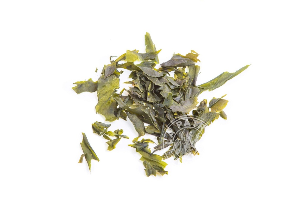 Alga kombu BIO deshidratada (40gr)