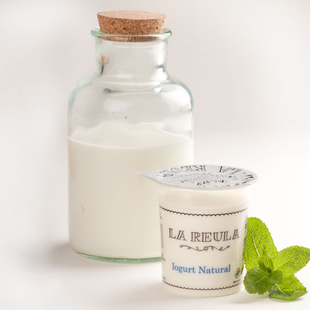 Iogurt de vaca ECO individual