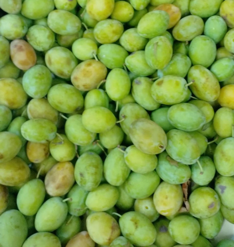 Pruna de Sant Joan