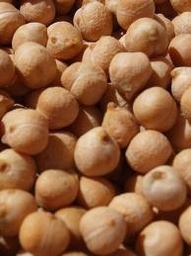 Cigronet de l'Alta Anoia