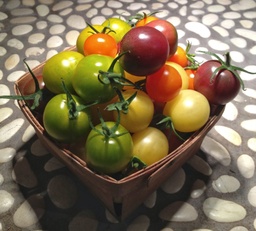 Tomàquet Xerri Colors (500g)